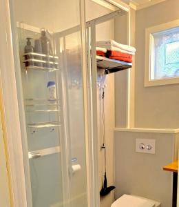 a bathroom with a glass shower stall with a toilet at Berlevåg Apartment in Berlevåg