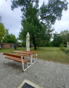 una mesa de picnic y una sombrilla junto a un parque en Öreg-tó Youth Hostel, en Tata