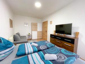 TV a/nebo společenská místnost v ubytování Moderne Ferienwohnung Felbbauer #30