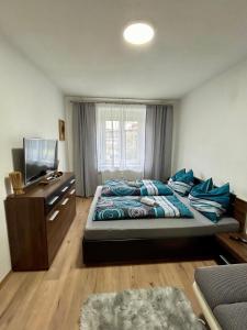 TV a/nebo společenská místnost v ubytování Moderne Ferienwohnung Felbbauer #30