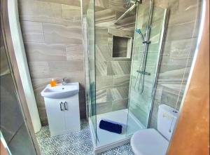 ein Bad mit einer Dusche, einem WC und einem Waschbecken in der Unterkunft Blue Cheetah Lemur Lodge in Bournemouth