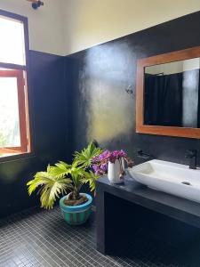 a bathroom with a sink and plants on a counter at Coconut Palm beach restaurant and rooms in Dickwella