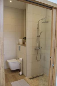 a bathroom with a shower and a toilet at Escapade Sélest' in Sélestat
