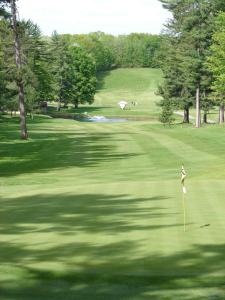 a bird standing on a pole on a golf green at TownePlace Suites by Marriott Iron Mountain in Iron Mountain