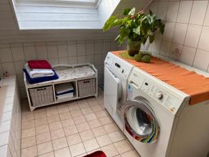 lavadero con lavadora y planta en Ferienwohnung-Entspannung Pur, en Krombach