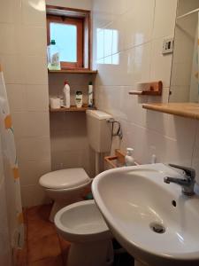 La salle de bains est pourvue de toilettes et d'un lavabo. dans l'établissement PM 10 Via Don Aldo Osquez Guest House, à Antey-Saint-André