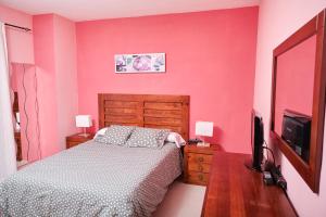 une chambre avec un lit et une télévision à écran plat dans l'établissement Piso con garaje El Puente en Santa Cruz de La Palma, à Santa Cruz de la Palma