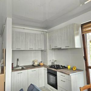 Η κουζίνα ή μικρή κουζίνα στο Cozy SoRaDa 2 apartment +17 φωτογραφίες
