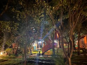 La serene nandihills外面的花园