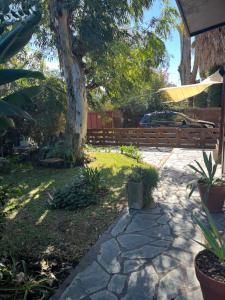 a garden with a tree and a wooden fence at Acogedor chalet a 5 minutos de las playas. in Mar del Plata
