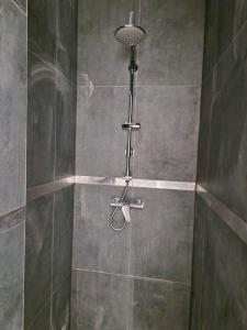 a shower with a shower head in a bathroom at Luther Boutique Homes Downtown in Budapest
