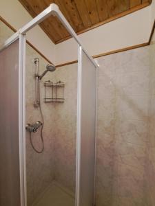 y baño con ducha y puerta de cristal. en Cozy family apartment for rest and fun, en Sella Nevea