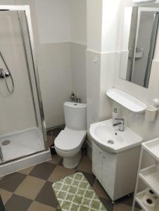 ein Bad mit einem WC, einem Waschbecken und einer Dusche in der Unterkunft Apartament cu 1 camera ultracentral in Baia Mare