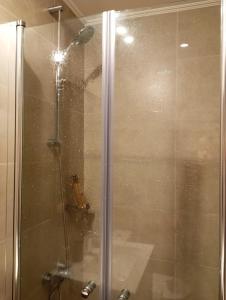 una ducha con una puerta de cristal con un perro. en Gran Vista Panorámica inmejorable Ubicación, en Pucón