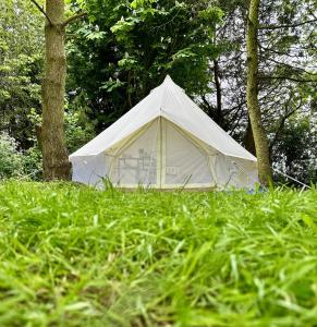 a white tent in the middle of a field of grass at Spacious bell Tent at Herigerbi Park Lincolnshire in Grantham