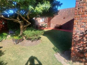 Gallery image of BIRD Song in Hermanus
