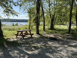 una mesa de picnic en un parque cerca de un lago en KAYAK STARVED ROCK CAMPGROUND, en Ottawa