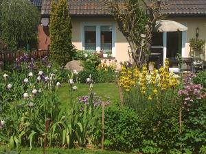 a garden of flowers in front of a house at Ferienhaus Liwi in Liessow