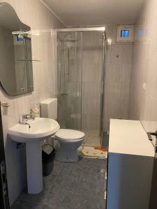 a bathroom with a shower and a toilet and a sink at Apartments Arina in Krasici