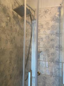 a shower with a glass door with a shower at Apartments Arina in Krasici