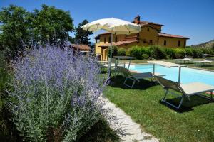 una piscina con sillas y una sombrilla junto a una casa en Il Bellini - Tuscany farmholiday, en Pulicciano
