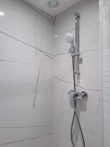 eine Dusche mit Duschkopf im Bad in der Unterkunft Appartement 4 chambres 2 douches in Cergy