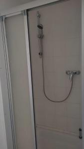 een douche met een douchekop in de badkamer bij Giraffe-1-4-Personen in Brunsbüttel