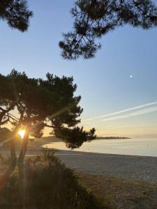 un albero sul lato di una spiaggia con il tramonto di Confortable studio, wifi, parking, proche plage a Carnac Altre 10 foto