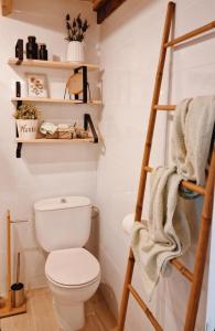 a bathroom with a white toilet and shelves at La Mata primera línea de playa in Torrevieja