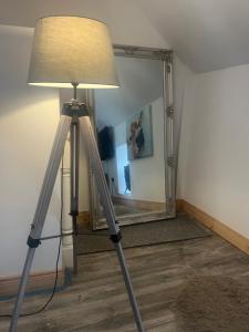 a tripod with a lamp in front of a mirror at Pringle cottage in Clones