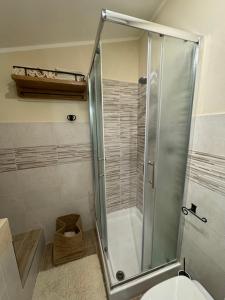 een badkamer met een douche en een toilet bij La Casa dei Nonni in Sasso dʼOmbrone