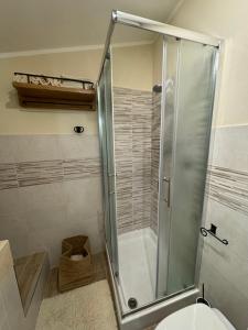 a bathroom with a shower and a toilet at La Casa dei Nonni in Sasso dʼOmbrone