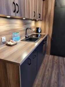 a kitchen with a sink and a wooden counter top at Apartament dwupokojowy w Elblągu in Elblag