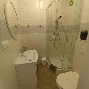 a bathroom with a shower and a sink and a toilet at Apartamenty Gościnne Idylla in Kudowa-Zdrój