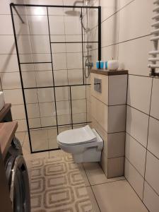 a white bathroom with a toilet and a shower at Apartament dwupokojowy w Elblągu in Elblag