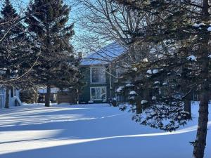 een blauw huis met een tuin bedekt met sneeuw bij Beautiful tranquil centrally located condo in Collingwood
