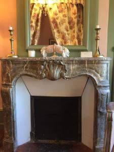 a fireplace with a mirror on top of it at Château de Couin in Couin