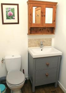 een badkamer met een toilet, een wastafel en een kast bij Cha16 - Nanteuil En Vallee - Touchbaudrand in Messeux