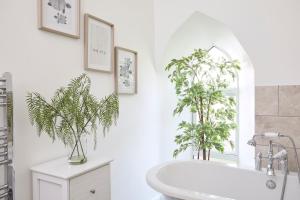 a bathroom with two potted plants and a bath tub at No 5 Old Church in Ventnor +21 photos
