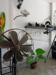 a room with a fan and a plant at Chino Town Gallery Alley - SHA Plus in Phuket