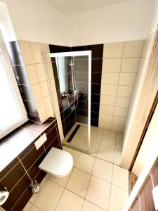 ein kleines Bad mit einem WC und einer Dusche in der Unterkunft Hospůdka a Ubytování U Mitucha in Å½enklava