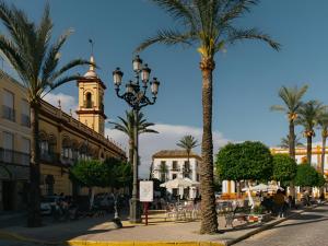 een straat met palmbomen en een gebouw met een klokkentoren bij Apartamento en Arahal Sevilla in El Arahal
