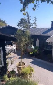 Denmark's Most Charming Beach Cottage外面的花园