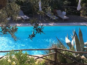 una piscina blu con sedie e piante di Ventena Vecchia antico frantoio a Montevarchi