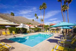 una piscina con sillas, sombrilla y palmeras en Casitas del Monte en Palm Springs