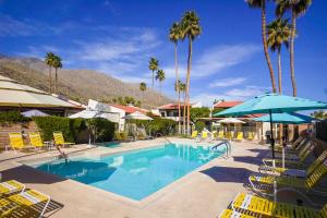 a pool with chairs and an umbrella and palm trees at Casitas del Monte in Palm Springs