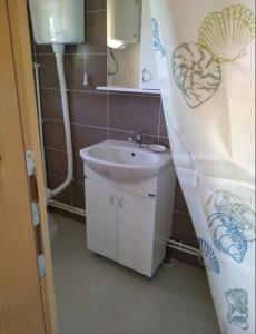 ein Bad mit einem Waschbecken und einem Duschvorhang in der Unterkunft Apartmani Suncevica in Arilje