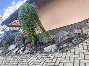 Zahrada ubytování Hospůdka a Ubytování U Mitucha