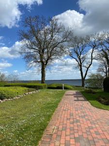 a brick path with two trees in the background at Strandappartment Meerkieker in Travemünde