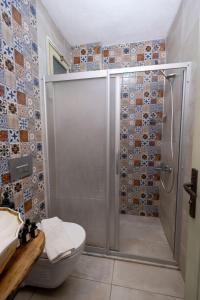 ボズジャ島にあるPosthane Hotelのタイル張りのバスルーム(シャワー、トイレ付)